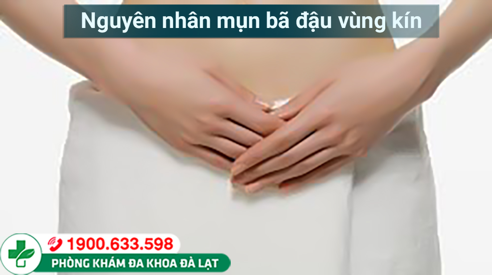 MỤN BÃ ĐẬU Ở VÙNG KÍN? CÁCH CHỮA TRỊ HIỆU QUẢ!